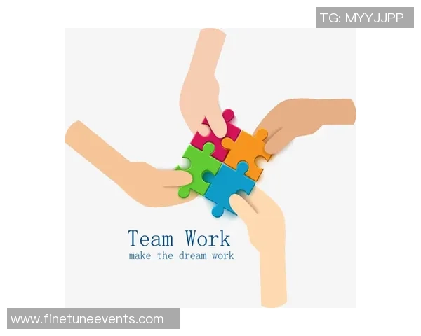 数据分析：V5的团队协作表现